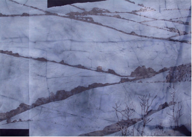  Chris Wilson:  Winter fields , 2006, acrylic and graphite on canvas, 100 x 122; private collection; courtesy the artist